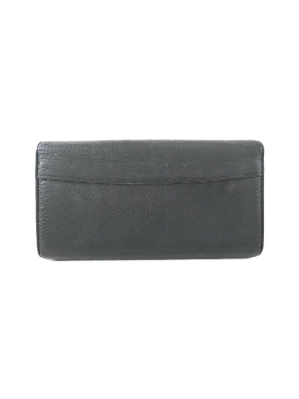 Louis Vuitton brand louis